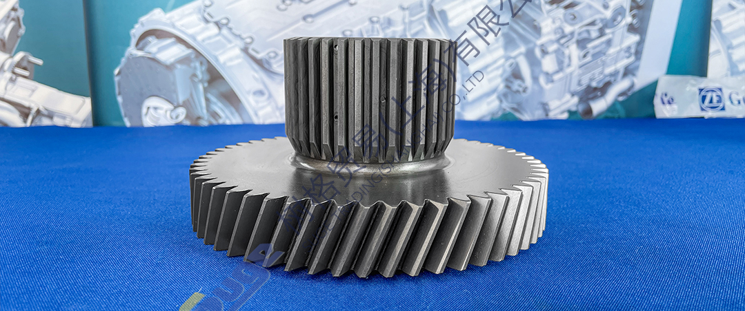 微信图片_20231221172626