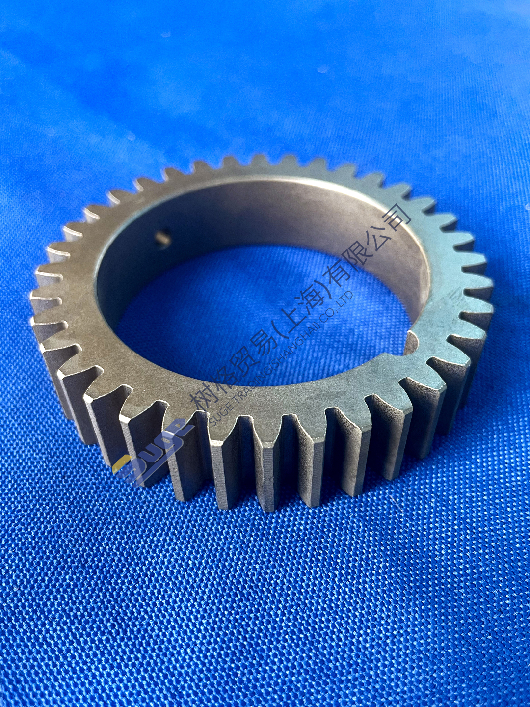 5841 300 359 油泵齿轮2