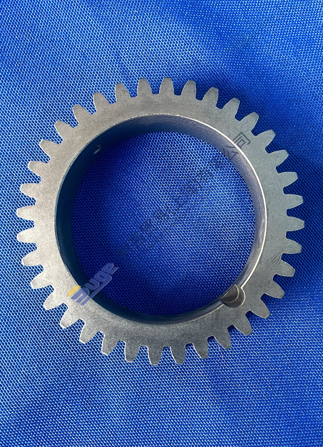 5841 300 359 油泵齿轮1