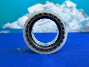 ZF MT-E轴缸辊轴承0750 118 493