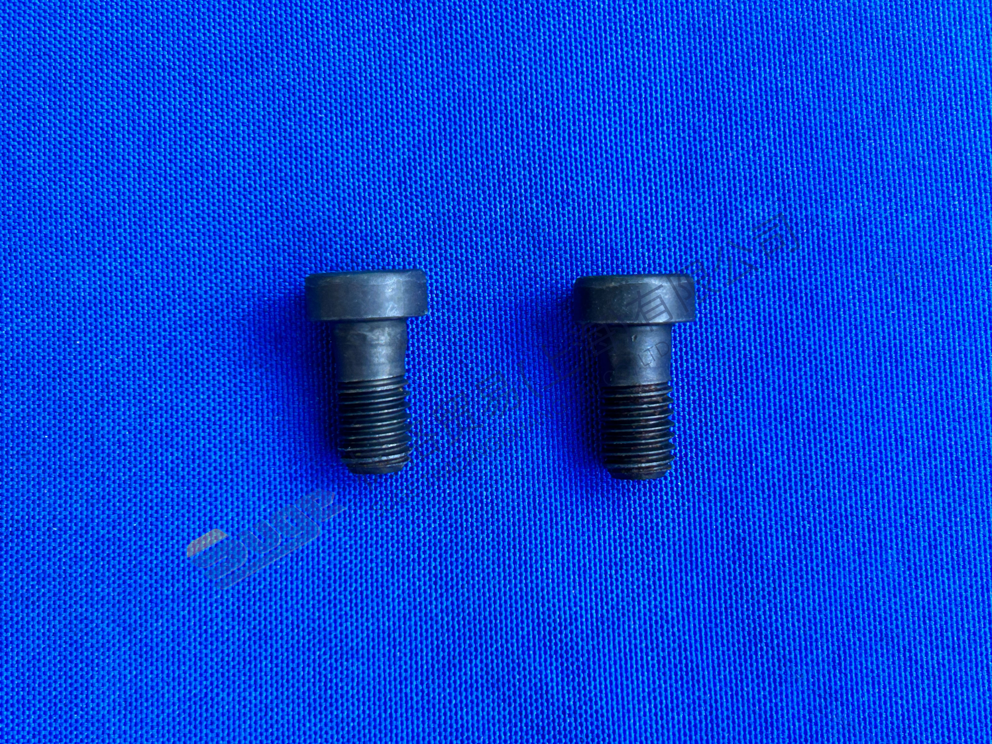 ZF MT-E轴帽螺钉0636 102 041