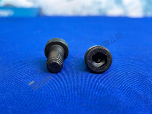 ZF MT-E轴帽螺钉0636 102 041