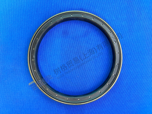 ZF MT-E轴盒环0734 309 423