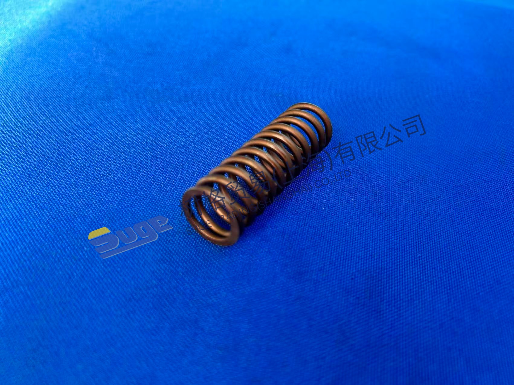 ZF 4WG200 压缩弹簧 0732 041 352