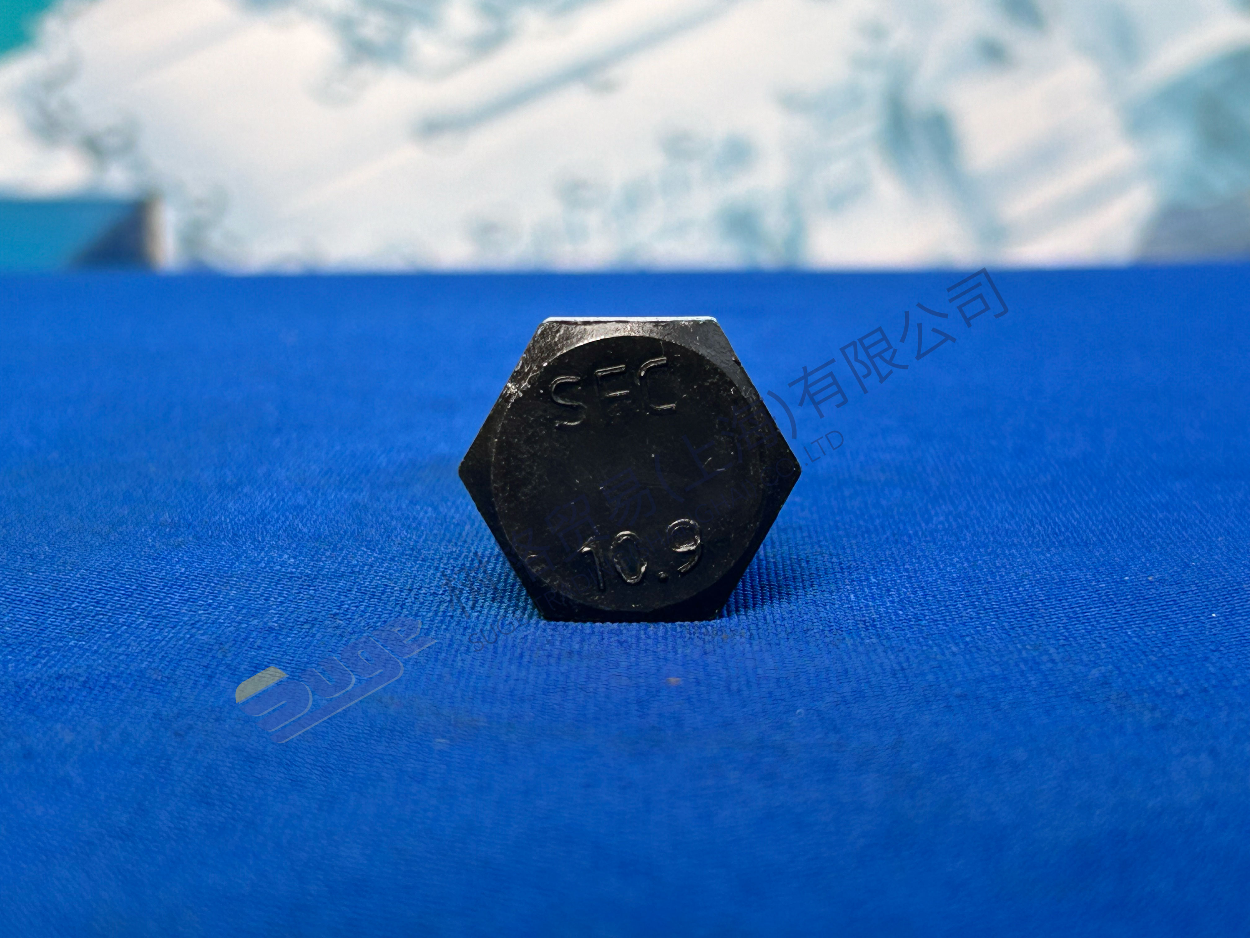 ZF MT-E轴六边形螺钉0636 011 204
