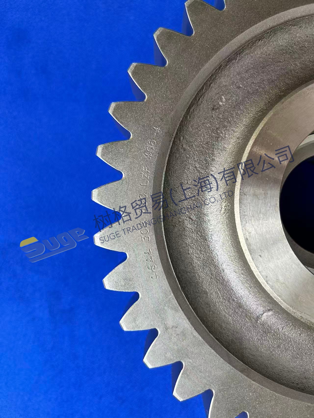 ZF 4WG200 正齿轮 4644 308 630