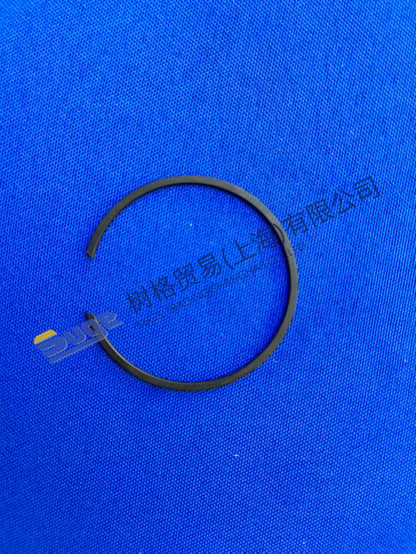 ZF 4WG200 卡环 0630 513 016