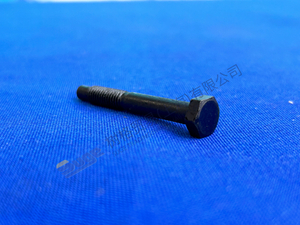 ZF MT-E轴六边形螺钉0736 004 055