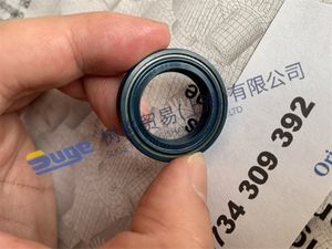 ZF ECOSPLIT4 变速箱零件泵齿圈1315 303 027 - 在速格贸易（上海）有限 