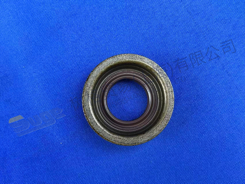 ZF 法兰盘根 0750 112 253