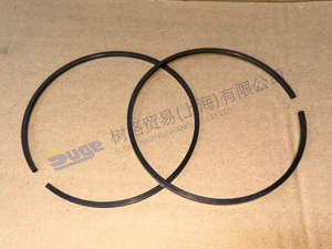 ZF 4BP230 卡环 0730 513 697