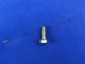 ZF 六角螺钉 0636 100 796