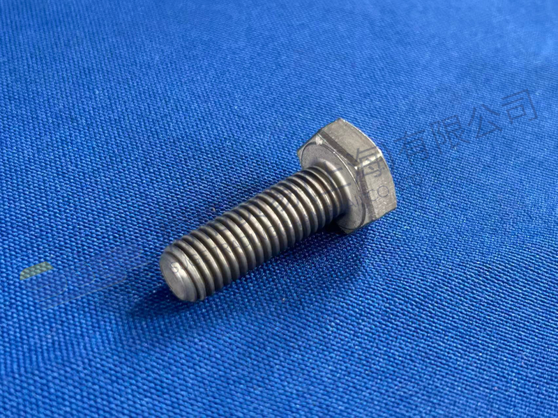 ZF 六角螺丝 0636 100 154