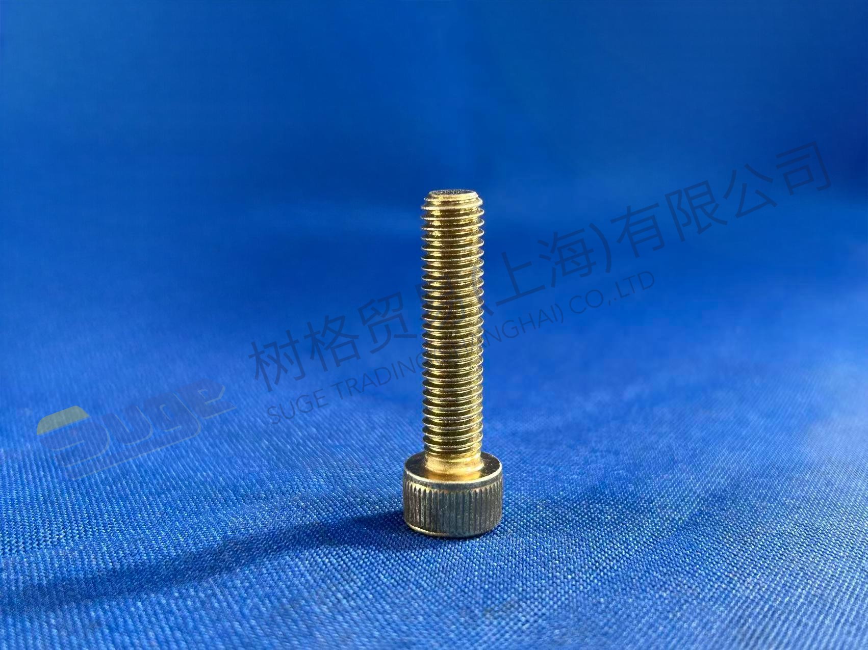 ZF 帽螺钉 0636 101 356