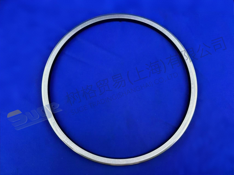 ZF滑环密封件 0501 325 341