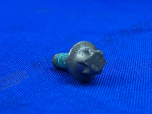 ZF 六角头螺钉 0636 102 673