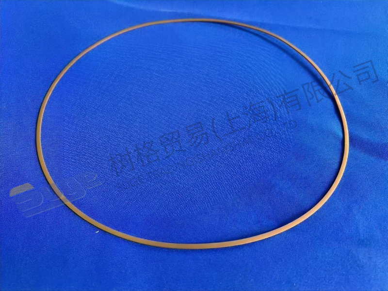 采埃孚支撑环 0734 319 430
