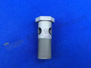 ZF 活接螺丝 1325 307 028