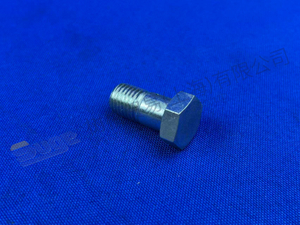 ZF 联管螺钉 0737 300 099