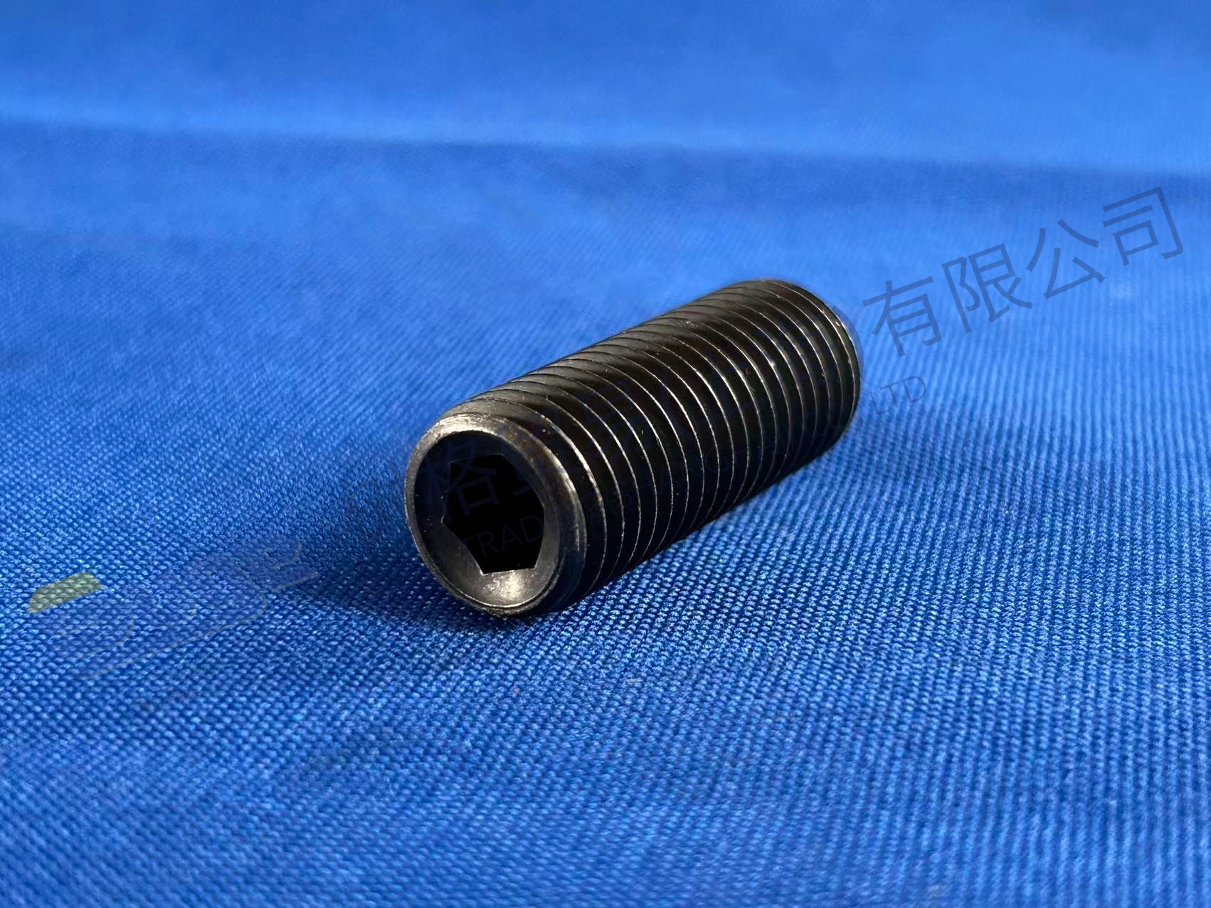 ZF 紧定螺钉 0501 317 060