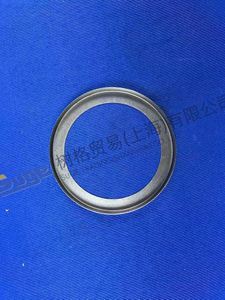 ZF 4BP230 导环 4656 371 022