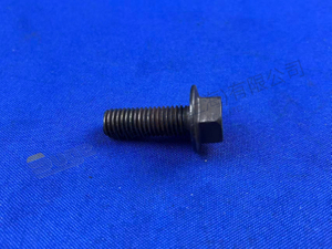 ZF 锁紧螺钉 0501 398 785