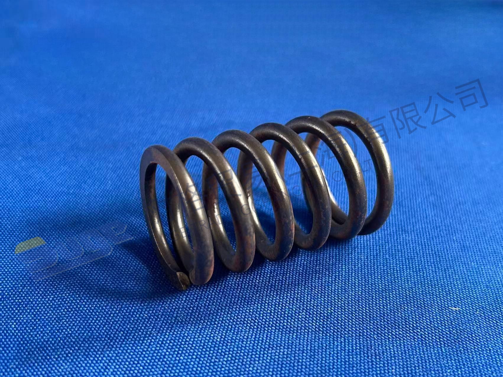 ZF 压缩弹簧 0732 040 807