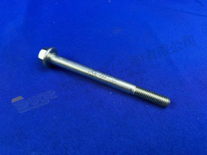 ZF 六角螺钉 0636 104 539