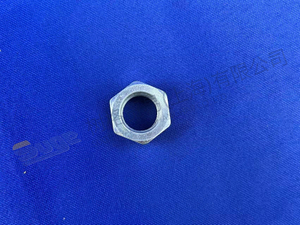 ZF 锁紧螺母 0737 300 037